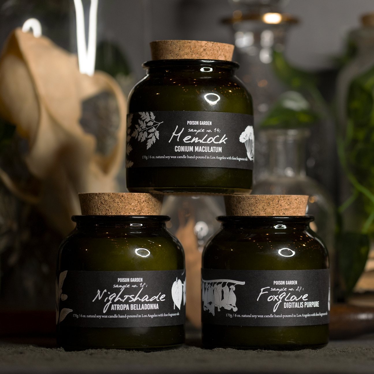 Cantrip Candles - Botany: Poison Garden ~ 6oz Candle
