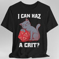 D&D Cat Shirt - I can haz a crit?