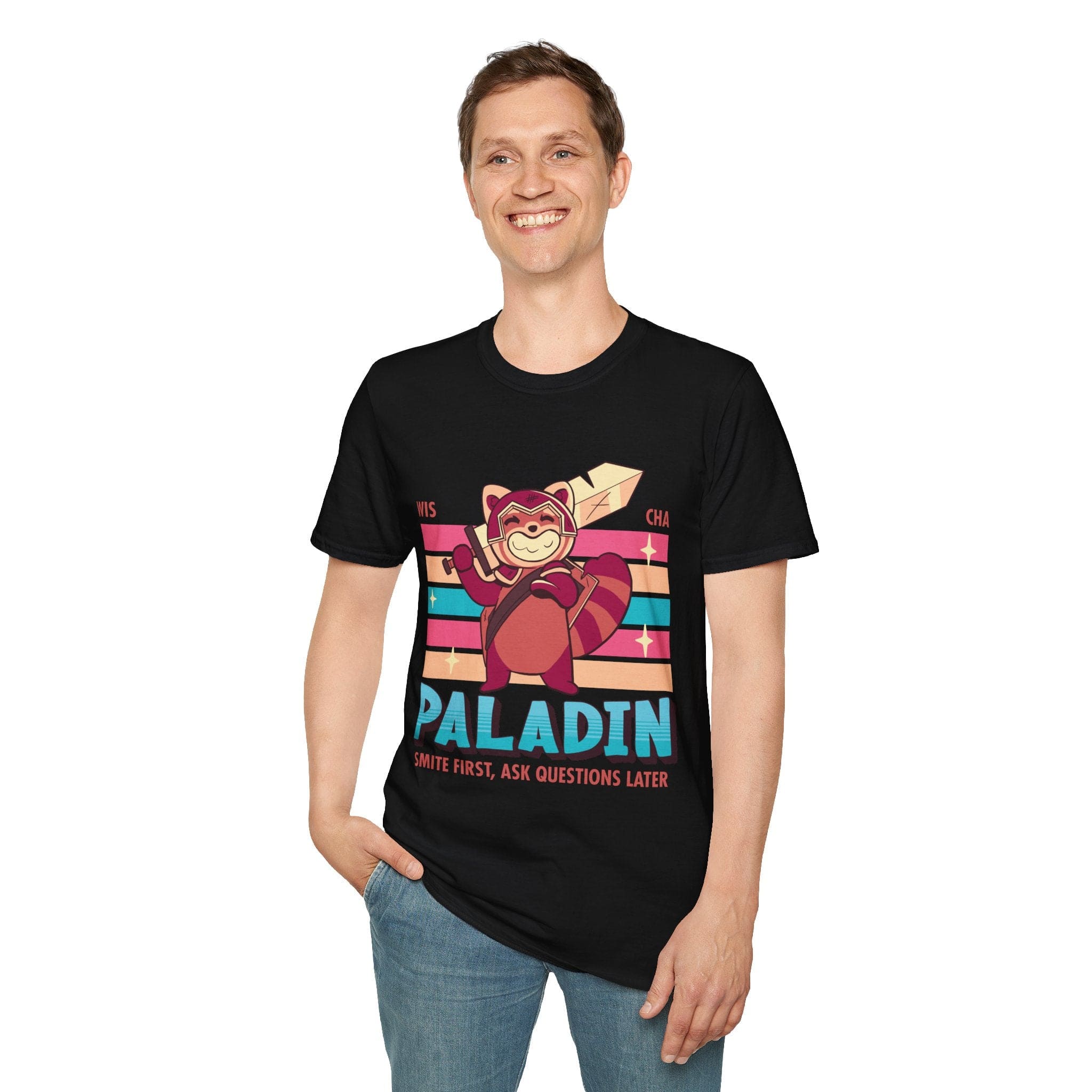 D&D Paladin Shirt - D&D Kawaii Class T-shirt